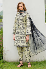Load image into Gallery viewer, EMBROIDERED SOFT CAMBRIC RTW-1217