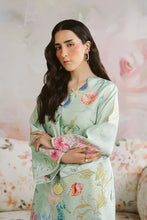 Load image into Gallery viewer, Co-135 (2-4 weeks delivery)