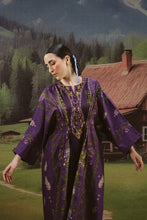 Load image into Gallery viewer, Co-139 (2-4 weeks delivery)