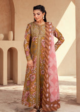 Load image into Gallery viewer, Sorrel (2-4 weeks delivery)