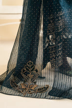 Load image into Gallery viewer, IP-276 EMBROIDERED CHIFFON (2-4 weeks delivery)