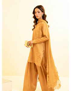 Gold Farshi Suit (2-4 weeks delivery)