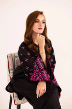 Load image into Gallery viewer, 2PC Embroidered Dress - 1135