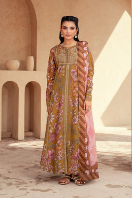 Sorrel (2-4 weeks delivery)