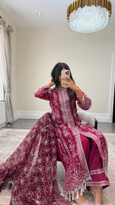 Sameera - Organza heavily embroidered suit with lace embroidery detailing and tassel finish fully embroidered duppata