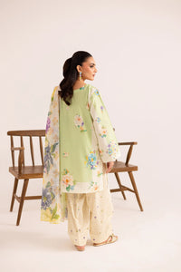 3PC Printed Basic - PRT3041