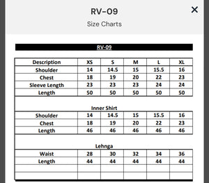 RV-09 (2-4 weeks delivery)