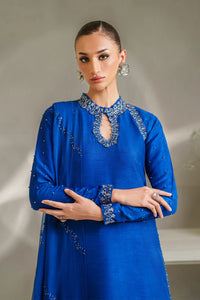 IP-336 EMBROIDERED RAWSILK (2-4 weeks delivery)