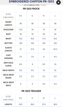 Load image into Gallery viewer, EMBROIDERED CHIFFON PR-1203 (2-4 weeks delivery)