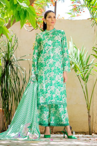 Evergreen (2-4 weeks delivery)