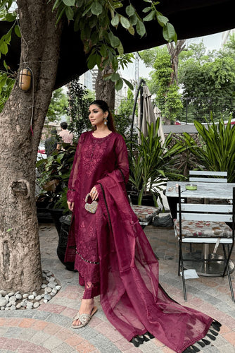Deep red Khadi net 3 piece suit with embroidery and detailing and organza duppata.