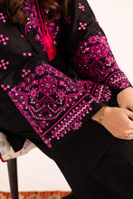 Load image into Gallery viewer, 2PC Embroidered Dress - 1135