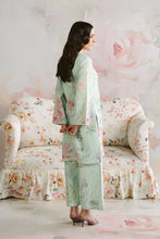 Load image into Gallery viewer, Co-135 (2-4 weeks delivery)