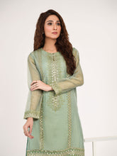 Load image into Gallery viewer, 2 Piece Zari Net Suit-Embroidered(Pret) (2-5 weeks delivery)