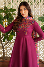 Load image into Gallery viewer, EMBROIDERED KHADDAR RTW-1233