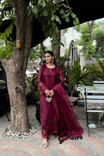 Load image into Gallery viewer, Deep red Khadi net 3 piece suit with embroidery and detailing and organza duppata.
