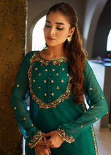 Load image into Gallery viewer, NLC-037